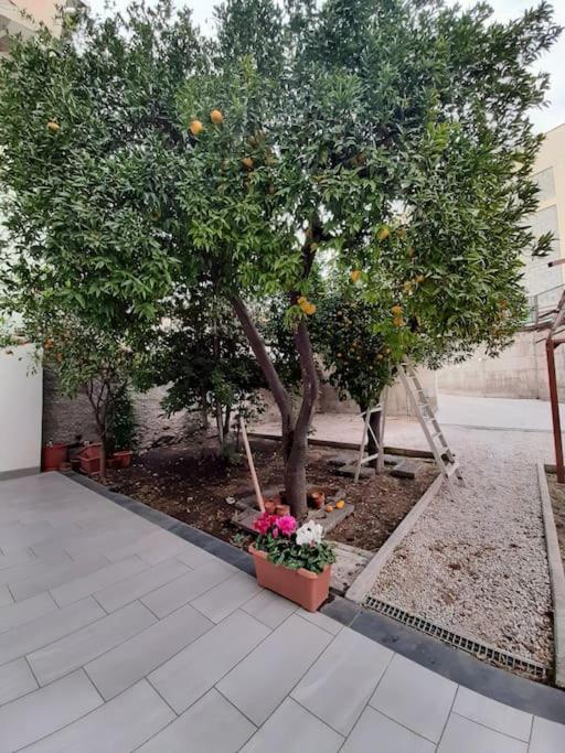 Lemon Tree Casa Vacanze Nel Verde Torre Annunziata Exterior foto